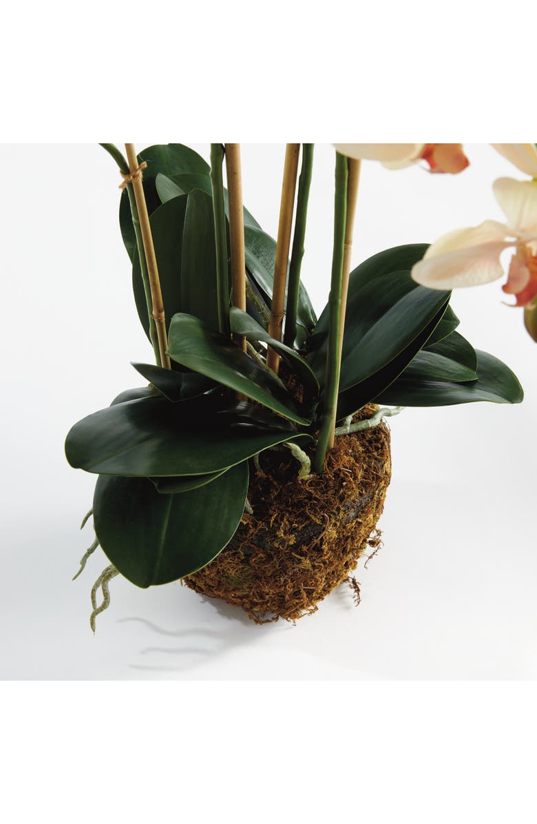 Napa Home & Garden Phalaenopsis Orchid Artificial Plant Drop-In, Alternate, color, Pink