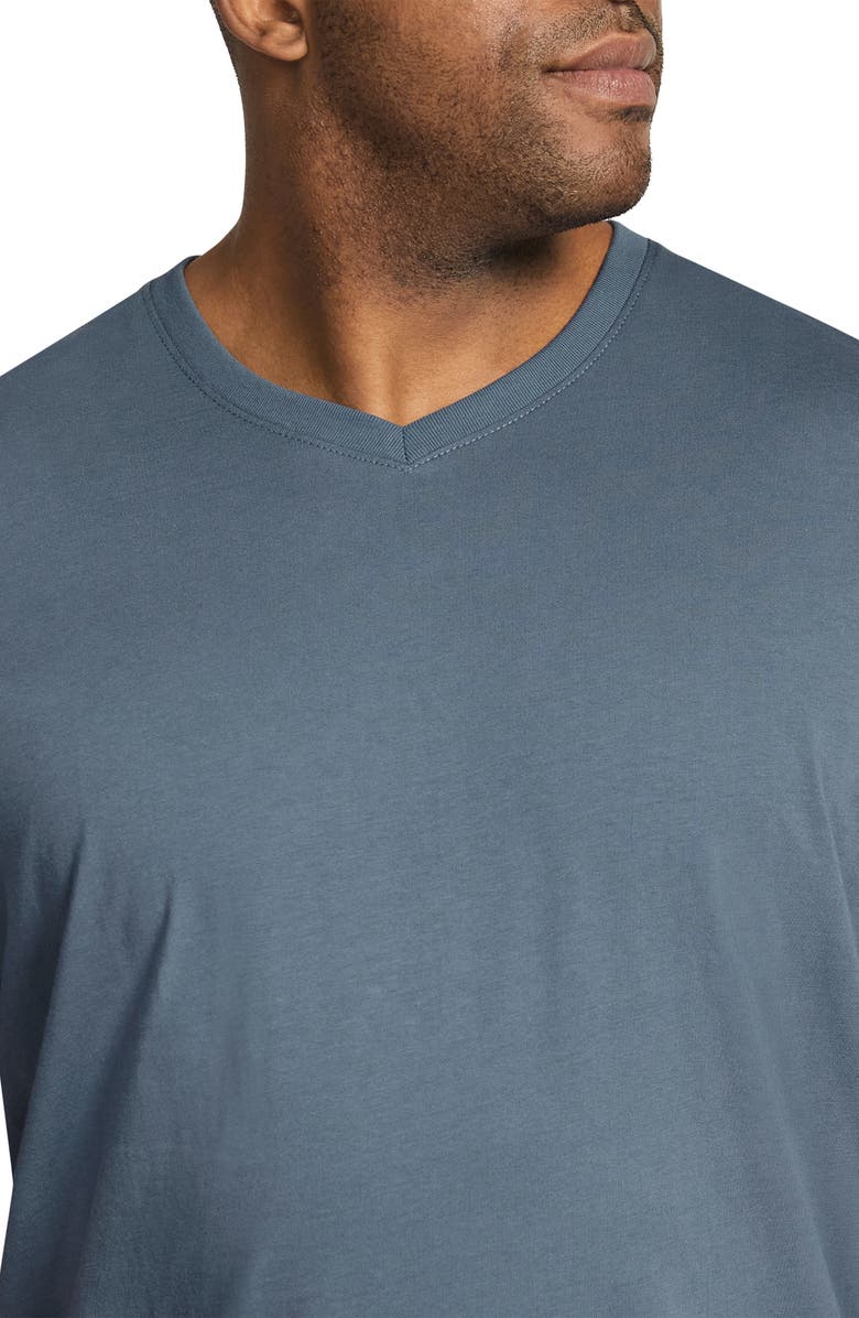 Johnny Bigg Essential Organic Cotton V-Neck T-Shirt, Alternate, color,