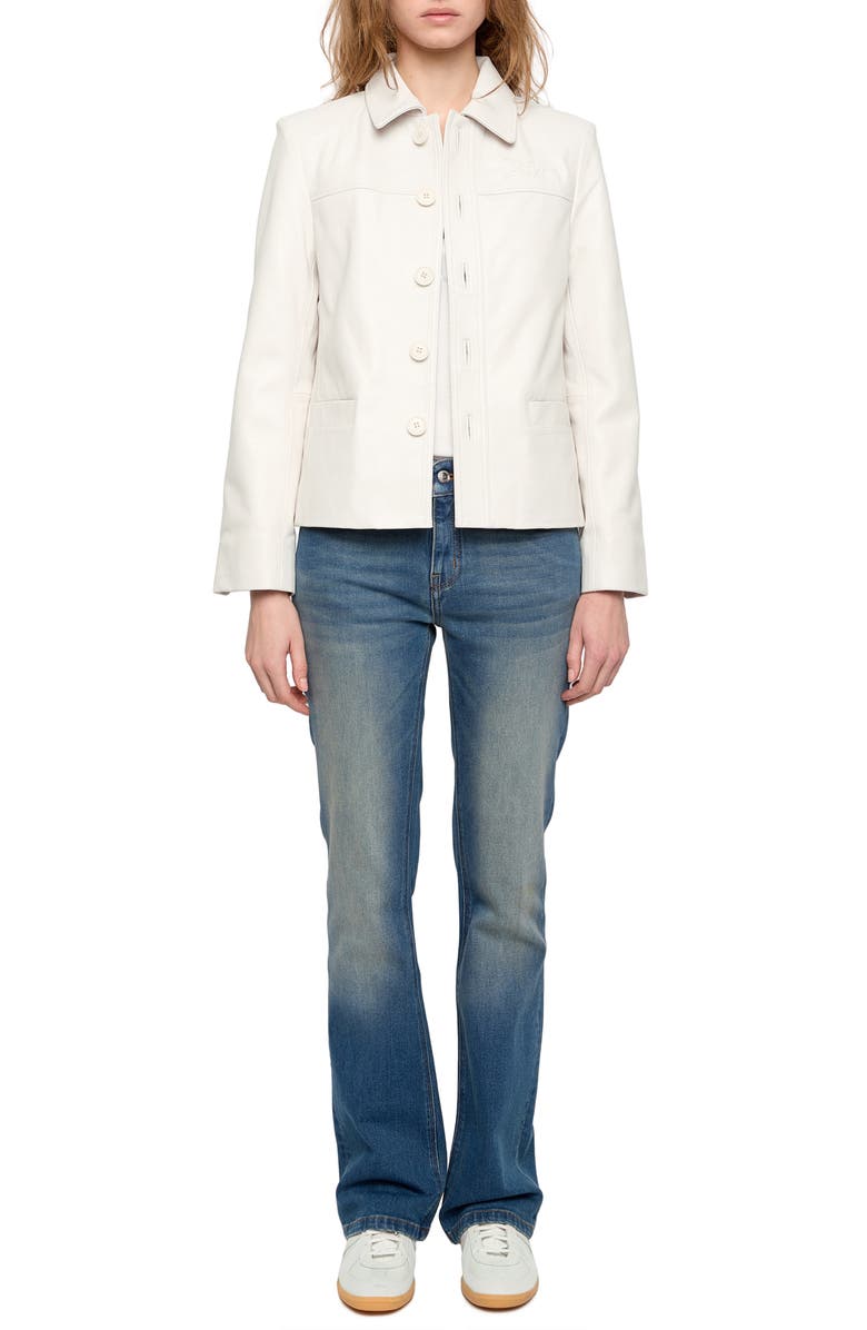 Zadig & Voltaire LIamys Leather Jacket, Alternate, color, Judo