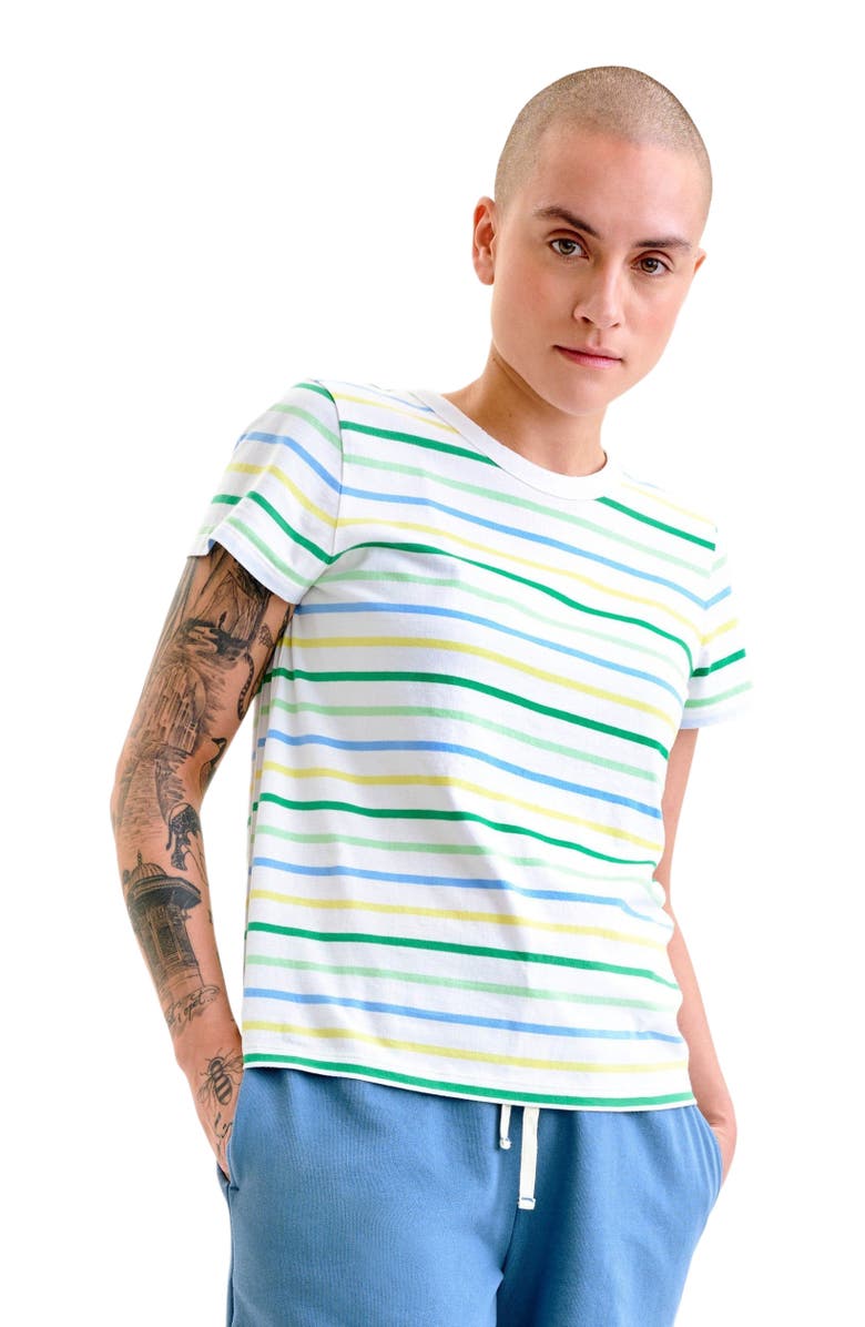 Primary Adult Classic Crewneck Multi-Stripe Tee, Alternate, color, 