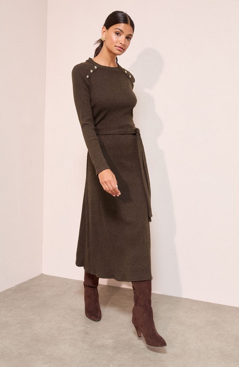 Friends Like These Long Sleeve Sweater Dress, Alternate, color, Brown