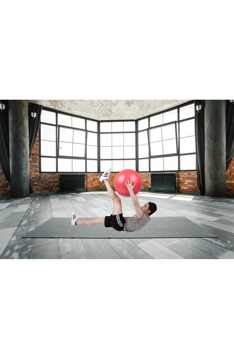 MIND READER Exercise Yoga Ball &  Quick Pump, Alternate, color, 