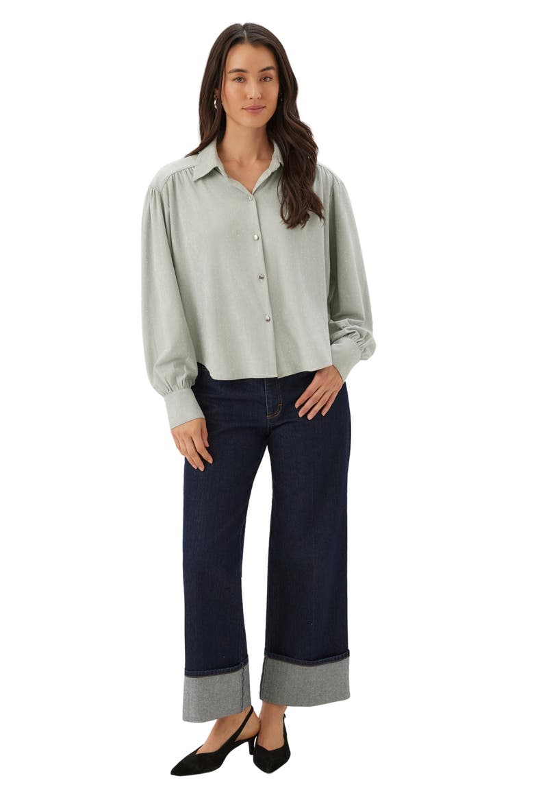 Embellished Faux Suede Shirt, Alternate, color, POWDER BLUE