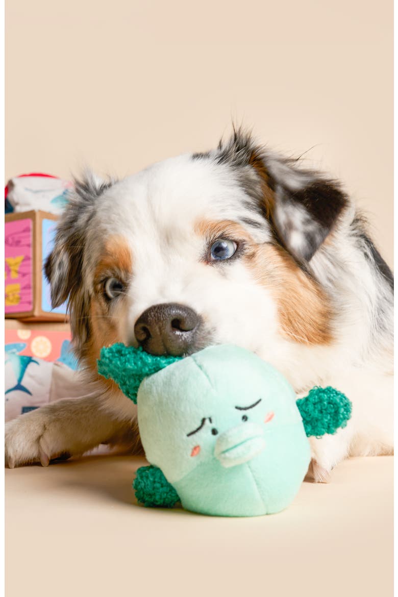 Fish Express Nosework Toy, Alternate, color, GREEN