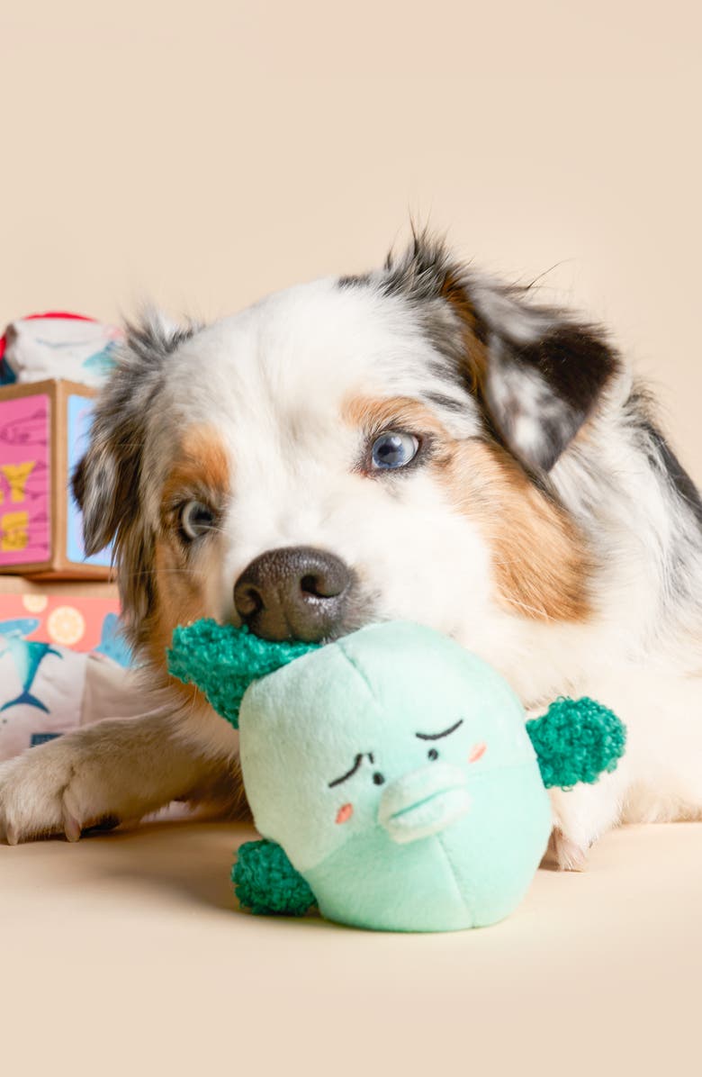 the furryfolks Fish Express Nosework Toy, Alternate, color, Green