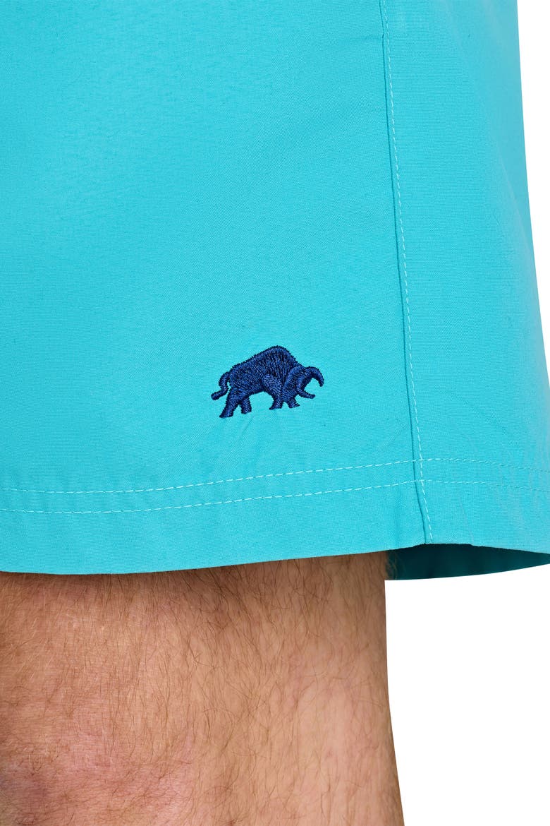 Swim Shorts, Alternate, color, Turquoise