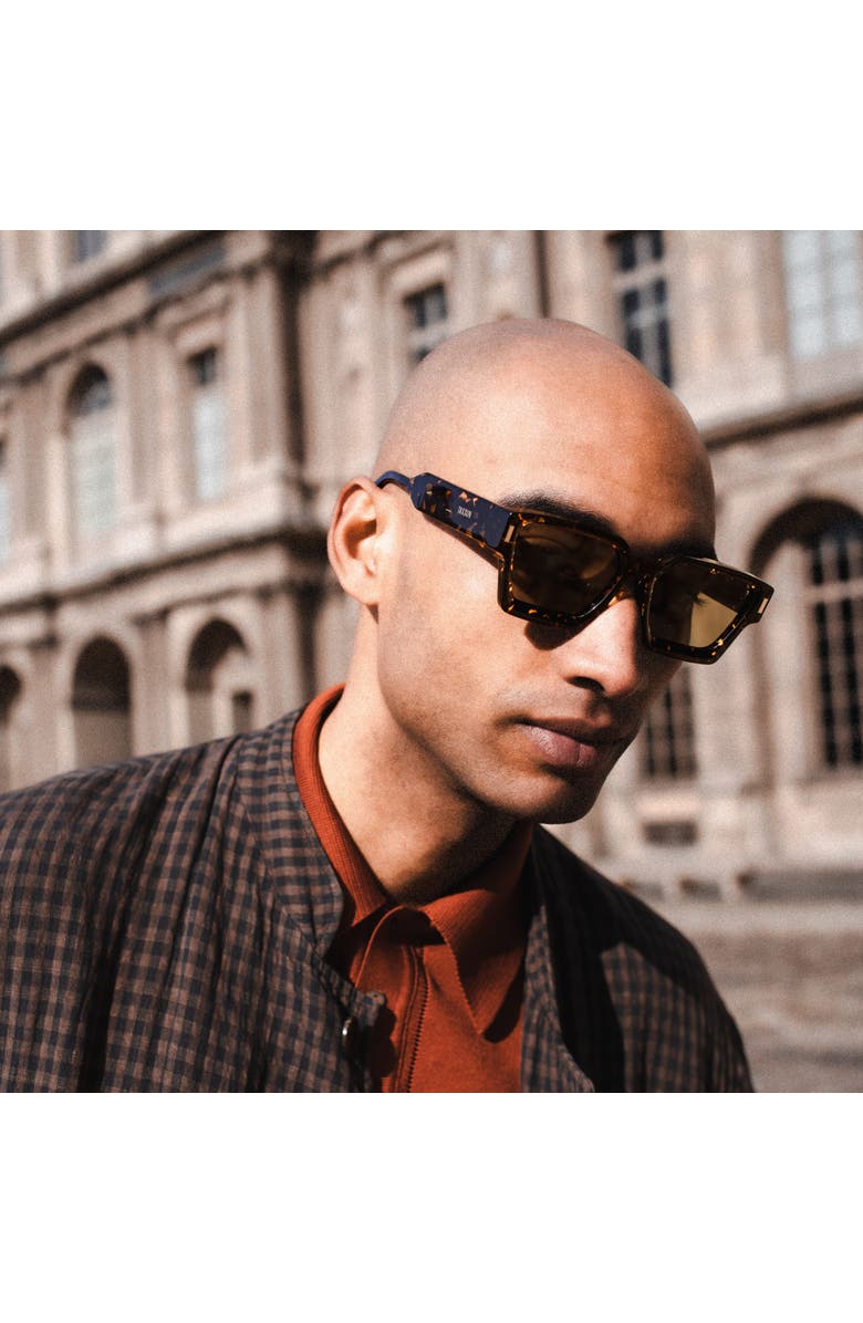 Taxxon Eyewear 008 Havana Sunglasses, Alternate, color, 