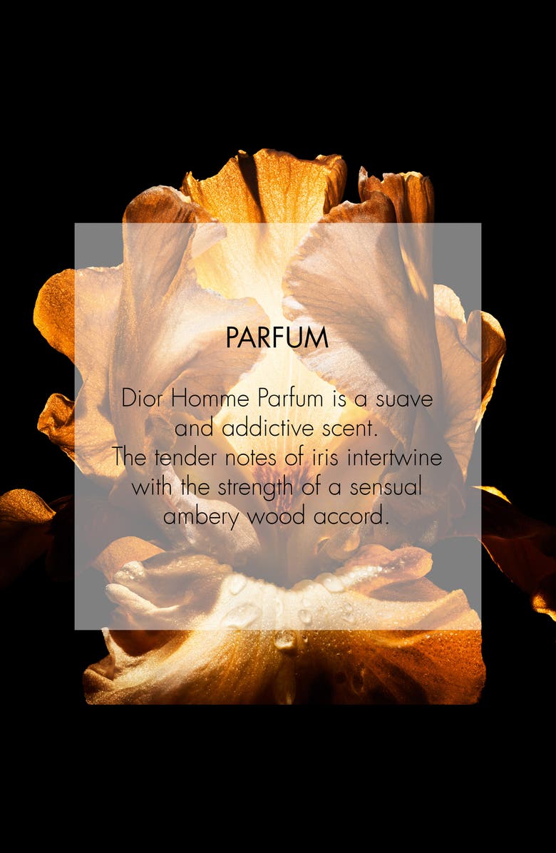 DIOR Homme Parfum, Alternate, color,