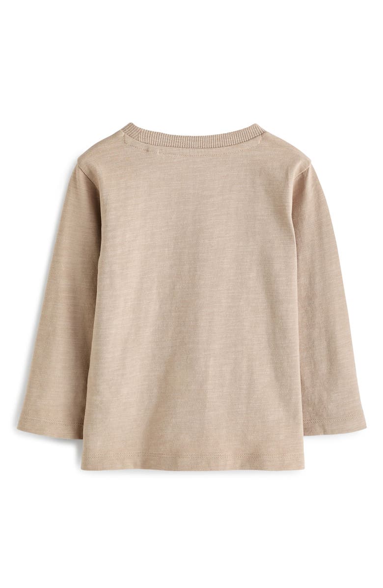 NEXT Kids' Peekaboo Lion Appliqué Long Sleeve Cotton T-Shirt, Alternate, color, 