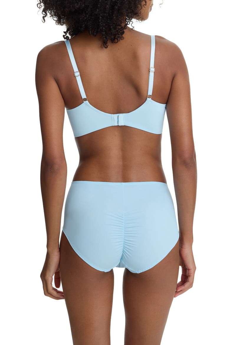 Entice Lace Trim Briefs, Alternate, color, SALTWATER/ CASHMERE