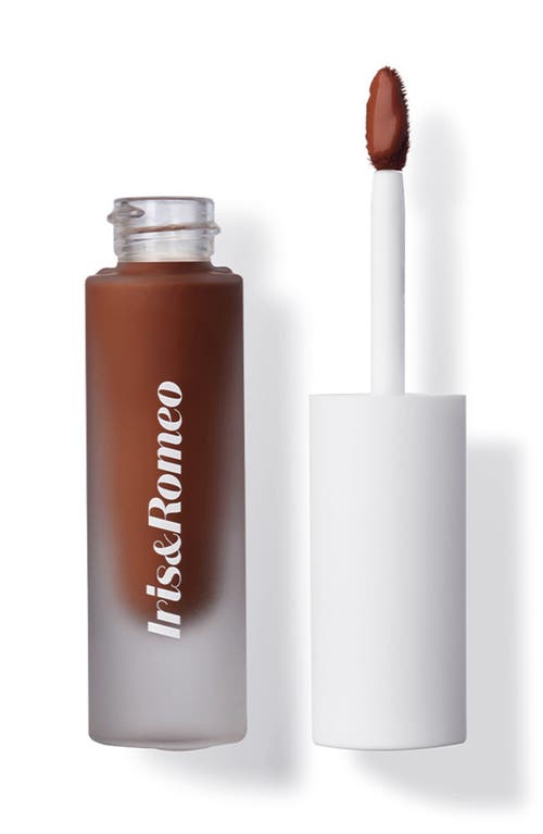 IRIS&ROMEO Best Skin Days™ Treatment Concealer in Shade 14  product