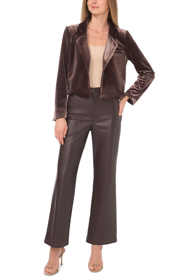 Velvet Crop Blazer, Alternate, color, CHOCOLATE