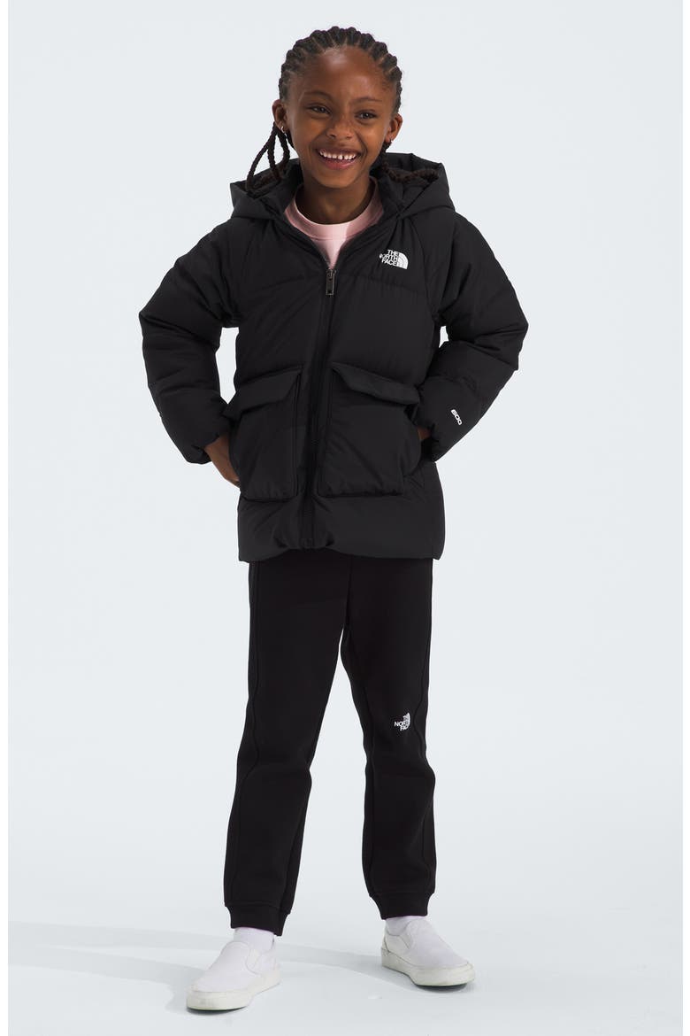 Kids' North Down Fleece Lined Parka, Alternate, color, TNF BLACK