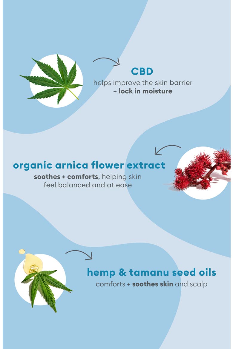 B. Well 100mg CBD + Arnica Flower Soothing Skin & Scalp Oil, Alternate, color, NO COLOR