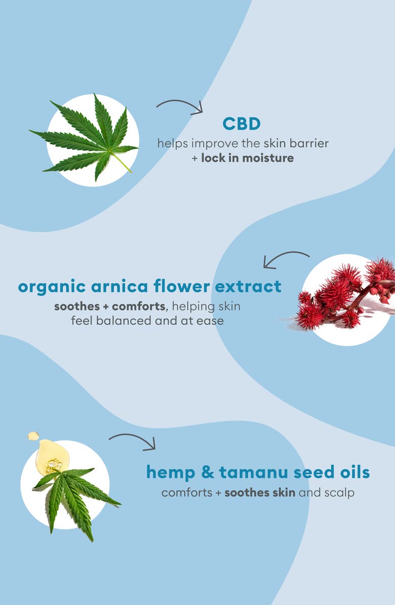 Briogeo B. Well 100mg CBD + Arnica Flower Soothing Skin & Scalp Oil, Alternate, color,