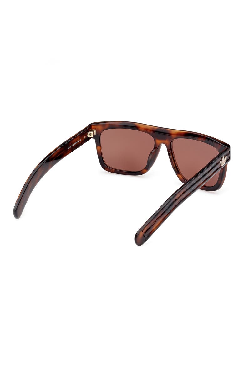 56mm Navigator Sunglasses, Alternate, color, DARK HAVANA/ BROWN
