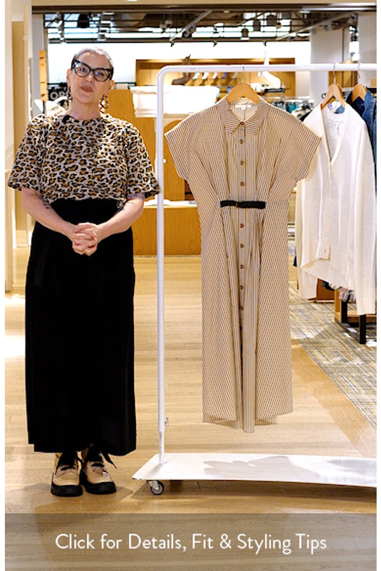 Stripe Belted Detail Cotton Shirtdress video