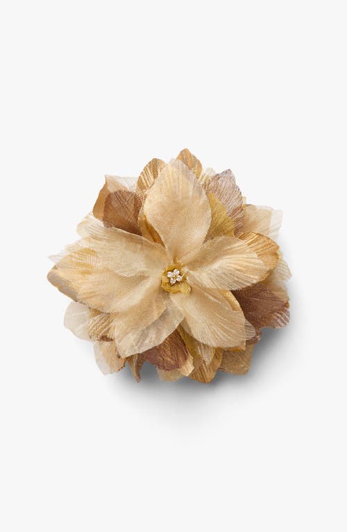 Helena Simon The Golden Poinsettia Floral Brooch