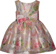 Iris & Ivy Kids' Burnout Jacquard Party Dress