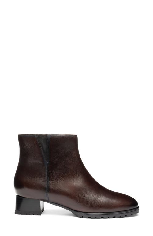 Ara Galway Bootie In Brown