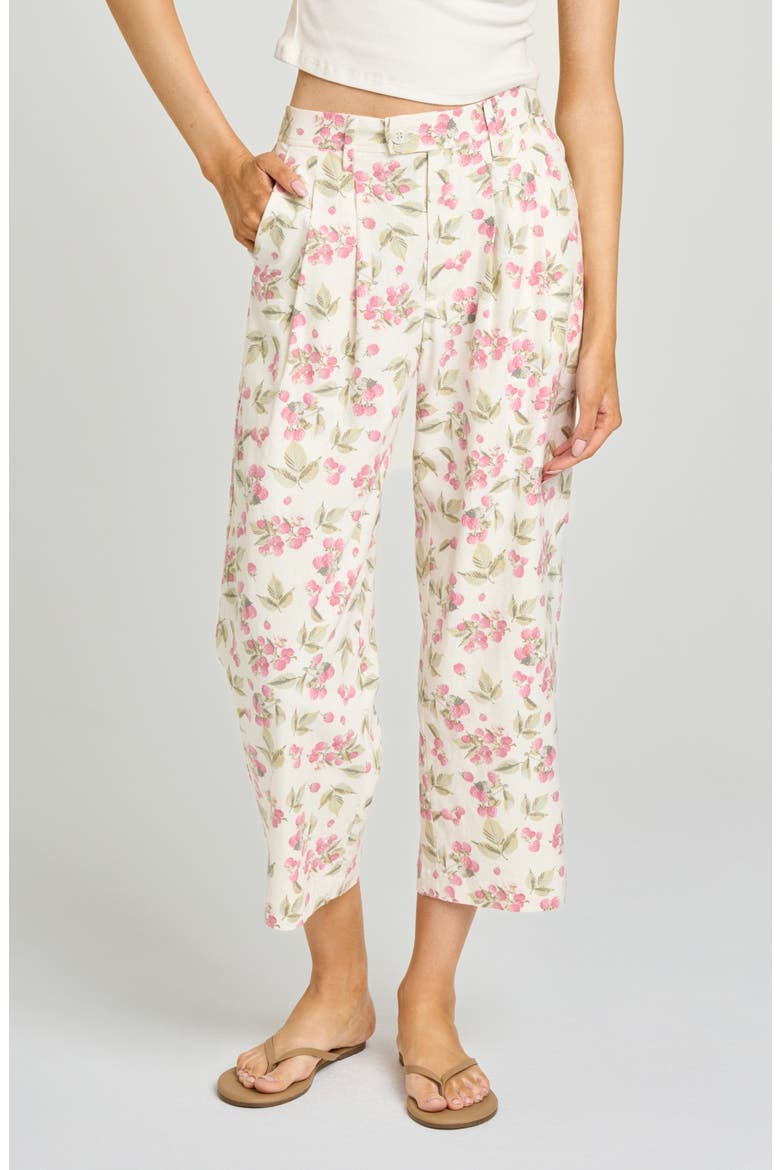 Stevie Garden Raspberry Print Crop Pants, Main, color, GARDEN RASPBERRY