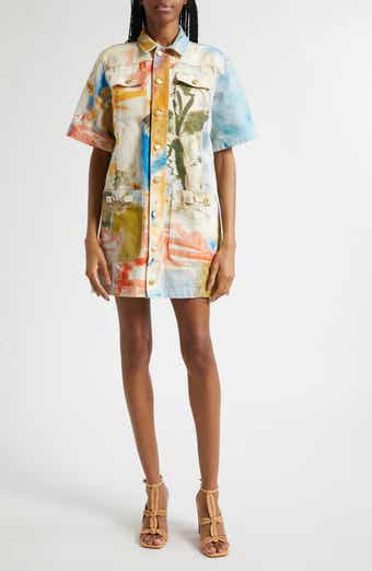 Painters Shirtdress