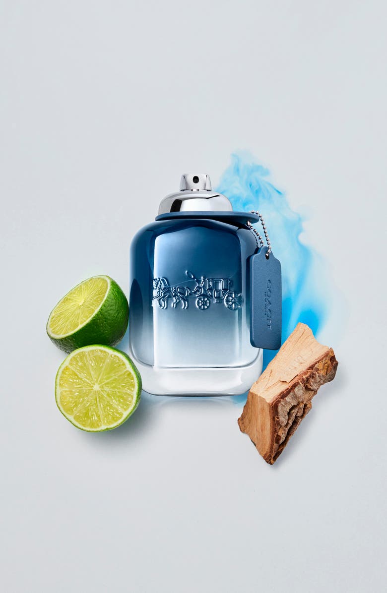 COACH Blue Eau de Toilette, Alternate, color, 