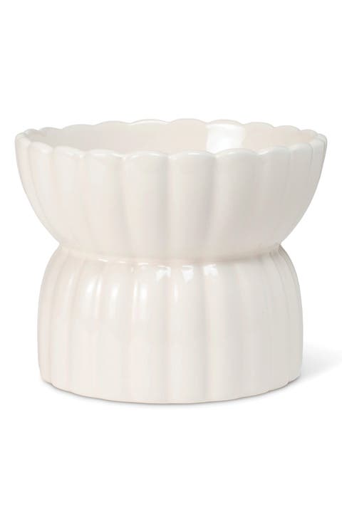 Scallop Raised Small Pet Bowl