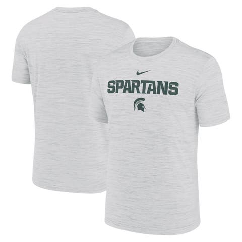 Men's Nike Ash Michigan State Spartans 2025 Sideline Velocity Performance T-Shirt