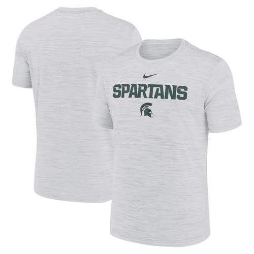 Nike Ash Michigan State Spartans 2025 Sideline Velocity Performance T-shirt In Gray