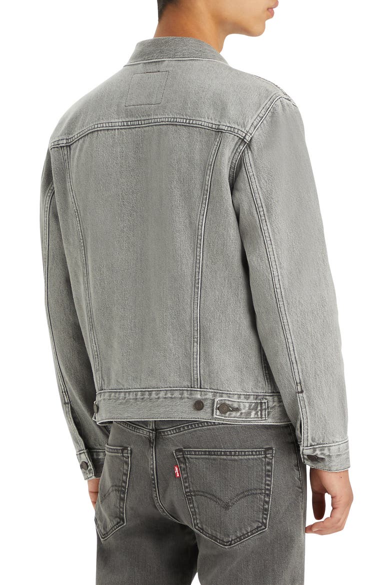 The Denim Trucker Jacket, Alternate, color, GOOSEBUMPS