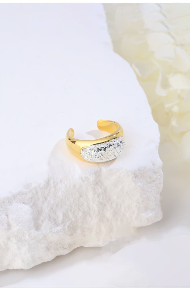 Classicharms Frosted and Matted Texture Two Tone Ring, Alternate, color, Gold