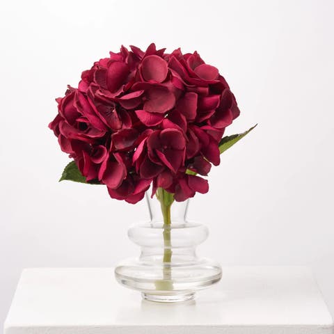 Burgundy Beauty Hydrangea Single Bloom Arrangement
