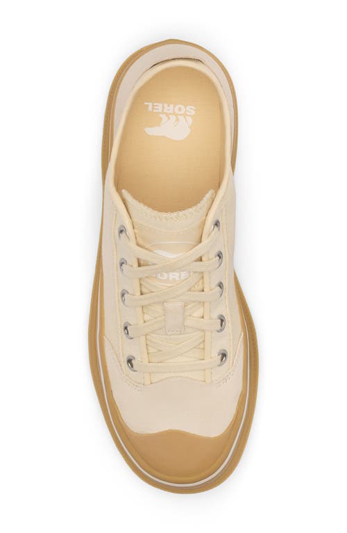 Sorel Scout N About™ Low Sneaker In Chalk/gum 16