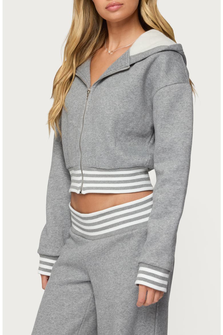 Eloura Stripe Detail Zip-Up Hoodie, Alternate, color, GRAY-MELANGE