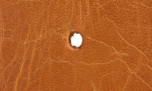 Ada Luxe Leather Belt In Cognac