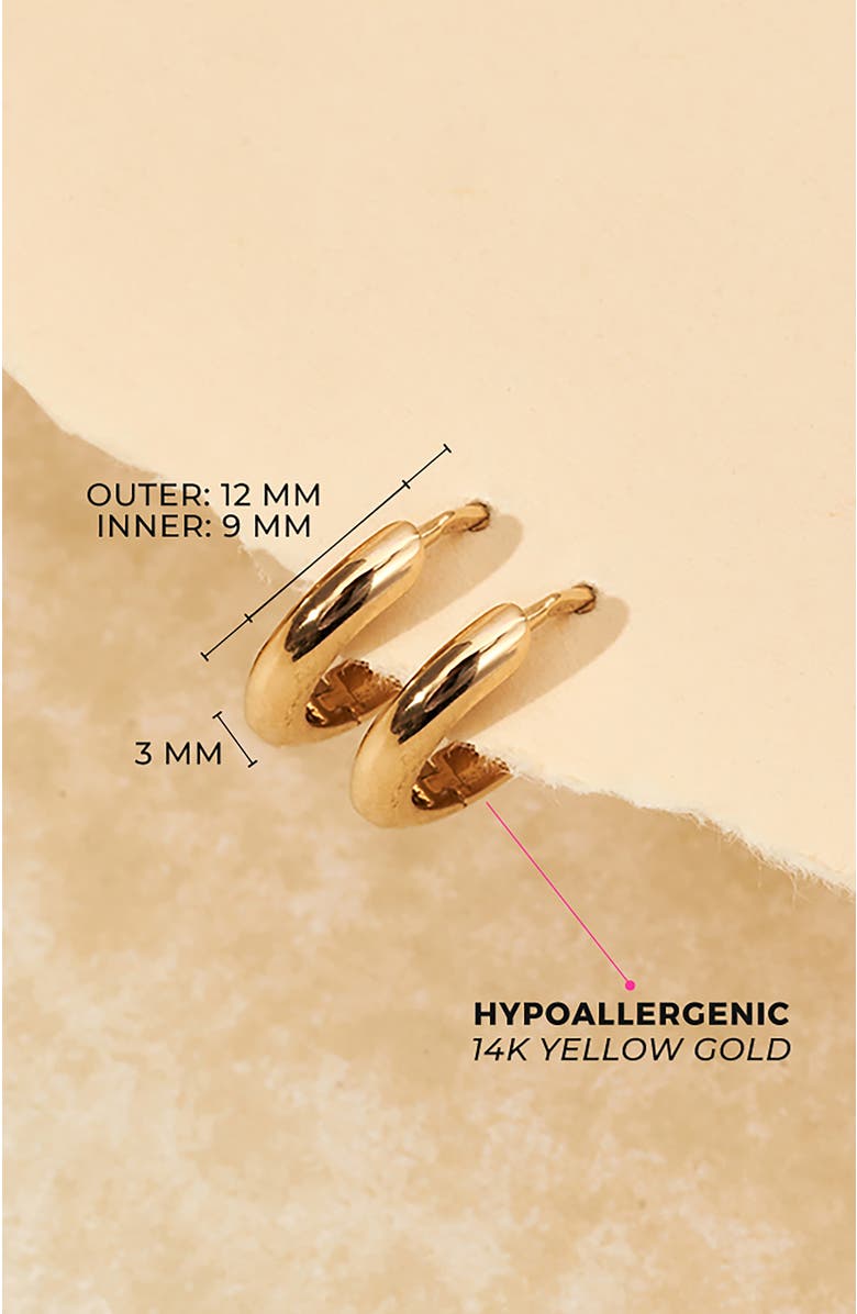 In Season Jewelry 14k Thick Polished Hoops, Alternate, color, Gold