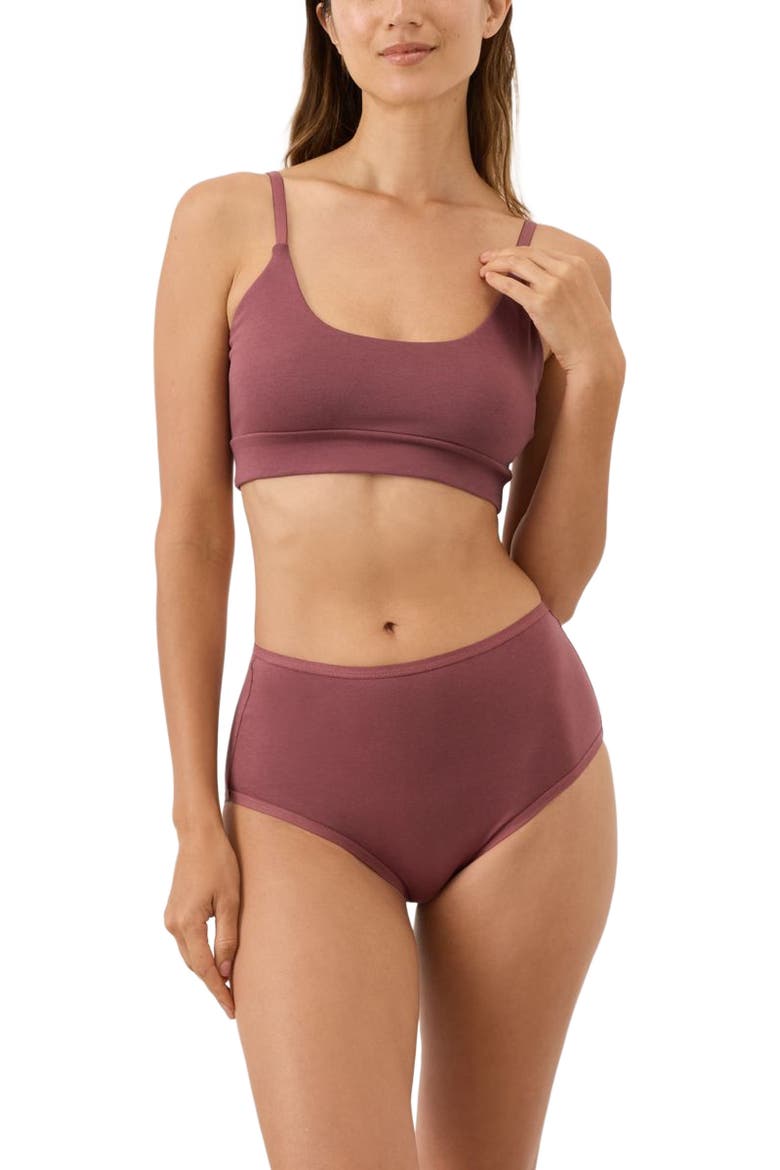 Everyday High Rise Brief 5-Pack Made With Organic Cotton, Alternate, color, Everyday Lakeside Lilies