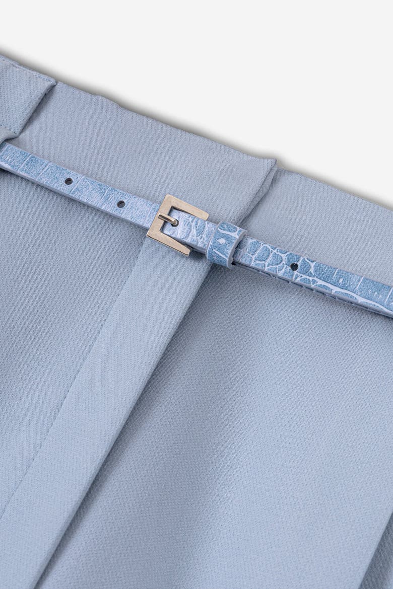 Belt Detail Double Pleat Trousers, Alternate, color, Blue
