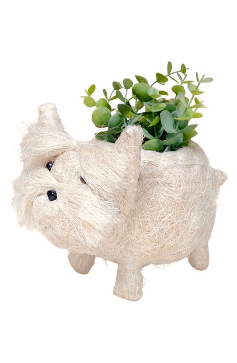 Baby Westie Handwoven Planter