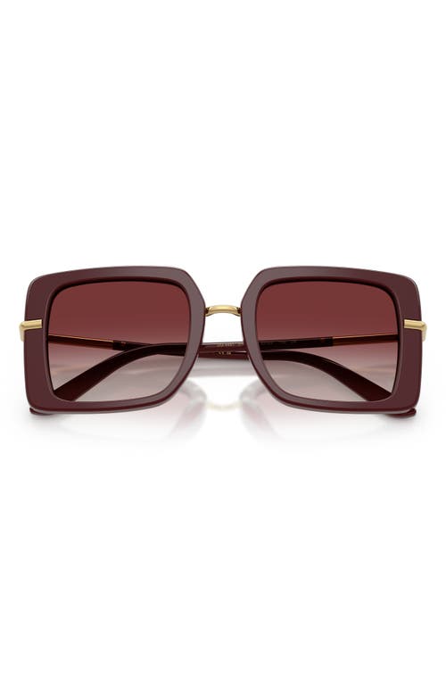 Dolce & Gabbana Dolce&gabbana 52mm Gradient Square Sunglasses In Bordeaux