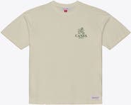 Mitchell & Ness Men's  Mitchell & Ness  Cream Miami Hurricanes Core Icon T-Shirt