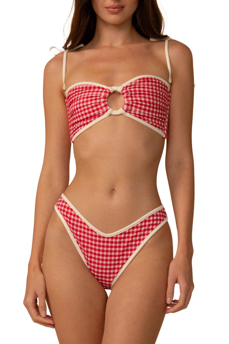 Lulu Gingham Bikini Bottoms, Alternate, color, RED MICRO GINGHAM