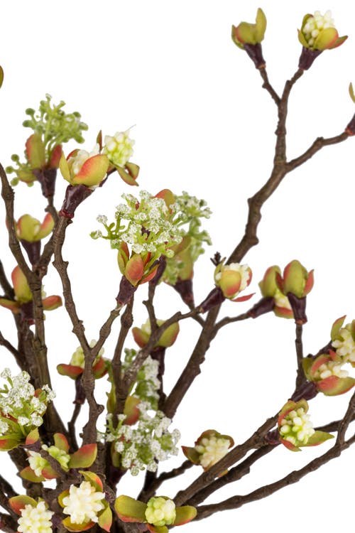 Cocobella Oriana Cherry Blossom Bud Arrangement