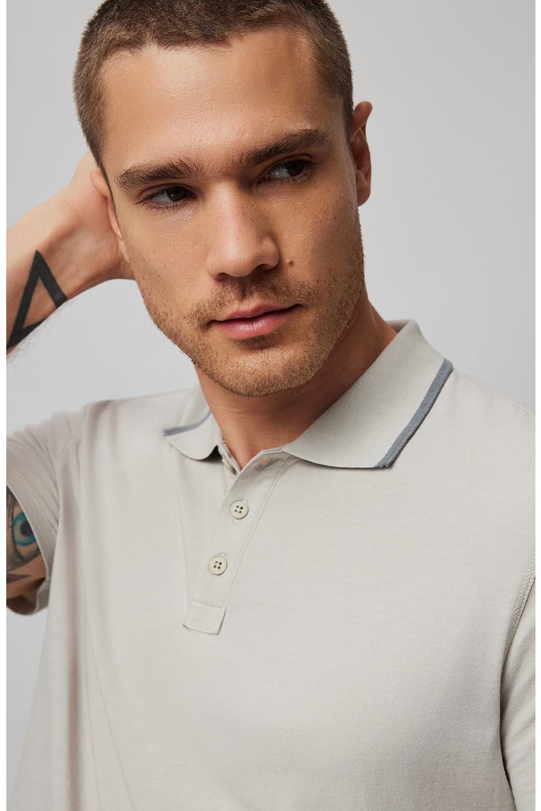 Tipped Jersey Polo, Alternate, color, DOVE GREY