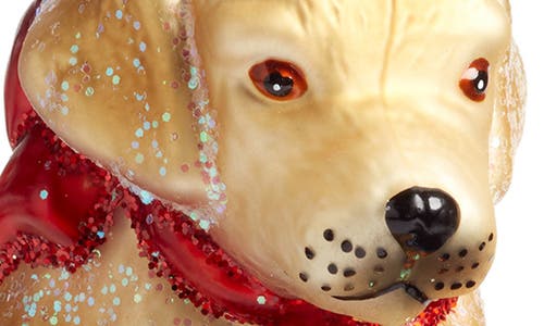 Old World Christmas Labrador Pup Glass Ornament In Gold