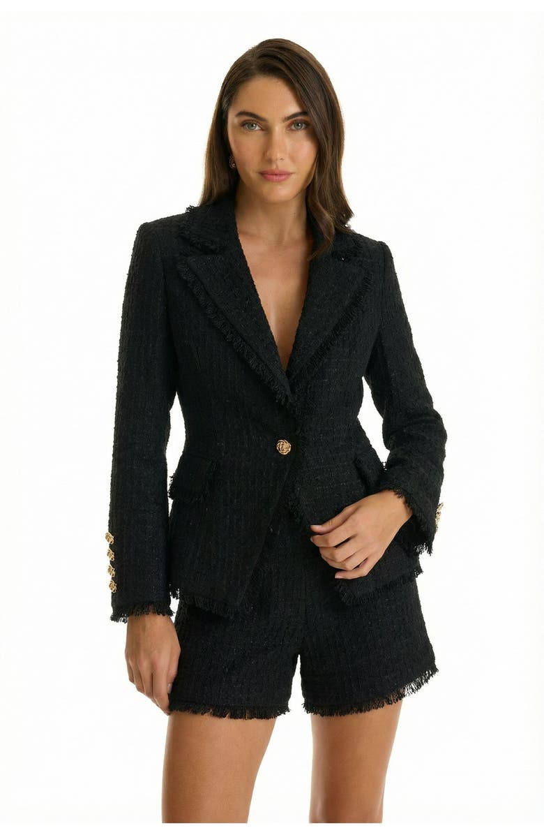 The Noli Shop Giselle Single Breasted Tweed Blazer, Alternate, color,