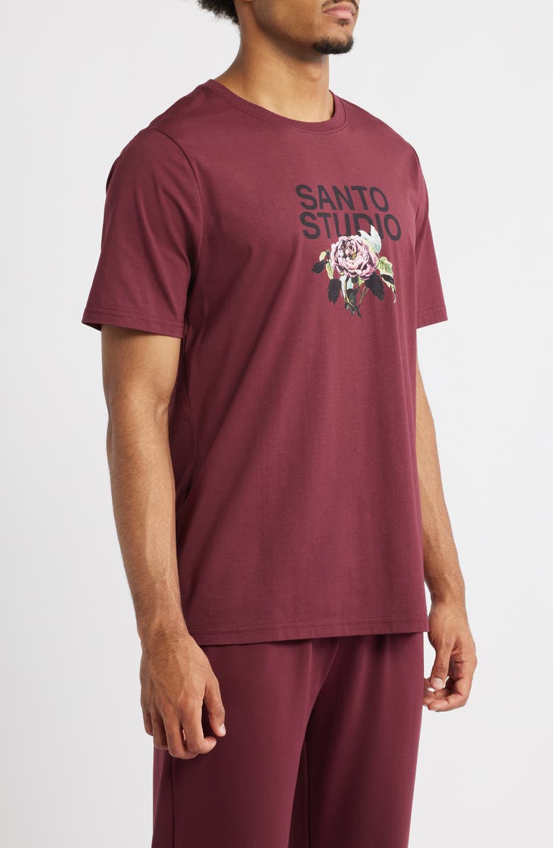 SANTO STUDIO Tempo Rose Cotton Blend T-Shirt, Alternate, color, Merlot