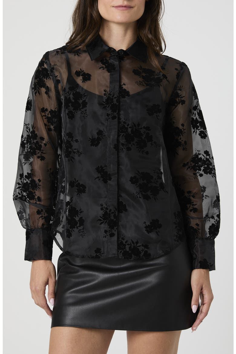 Velvet Burnout Organza Sheer Shirt, Main, color, BLACK