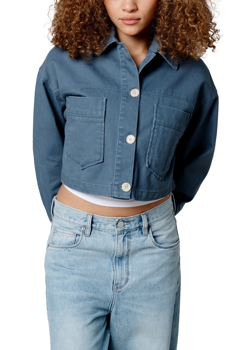 Oversize Crop Cotton Jacket, Alternate, color, SURF CAMP